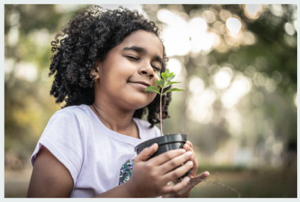 Sustentabilidade